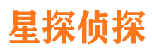 历城调查公司